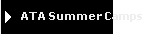 ATA Summer Camps